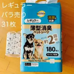 Item thumbnail for item 7ef8ec0d-f172-496f-96f9-111c76539272