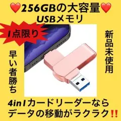 ⭐1点限り✨️USBメモリ 256GB 256gb USB 小型 軽量 大容量