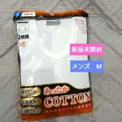 Item thumbnail for item 5ae8a0a3-98a1-4e8a-ada5-0a6a60fa6423