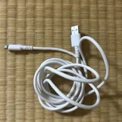 Lightningケーブル USB接続 ホワイト