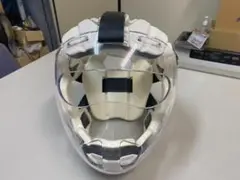 ミズノ ニューメンホー Ⅵ Ｌサイズ 空手道 防具