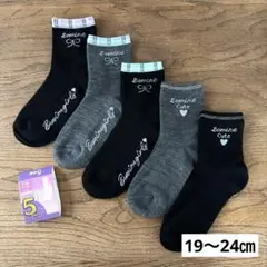 Item thumbnail for item 190cc7e1-d951-464c-9d03-a0fa293d254d