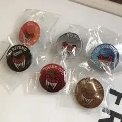 富山グラウジーズ　ピンバッジセット