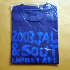 2025年最新】サザンオールスターズ jalの人気アイテム - メルカリ