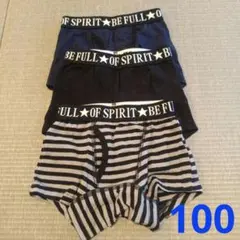 ボクサーパンツ　男の子　100