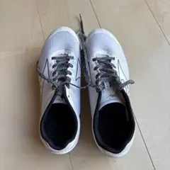 Item thumbnail for item 5eb2a023-e9c3-4bcd-a642-d9087d02ab8f