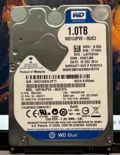 WD 1TB 内蔵型ハードディスクドライブ 2697時間