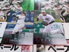 211 212/BBM 2024 1st 千葉ロッテ 2枚セット