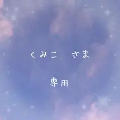 専用ページ