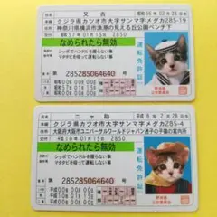 ◇なめ猫 免許証◇カード