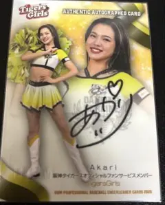 Item thumbnail for item 59b6506a-01c4-4c06-bc7e-bb35b3a60237