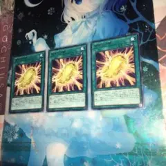 遊戯王 超進化の繭 3枚セット まとめ売り ちょうしんかのまゆ