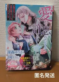 愛を忘れたなんて許さないと言われましても。　深森ゆうか　ソーニャ文庫　TL小説