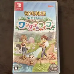 Welcome! ワンダフルライフ Nintendo Switch