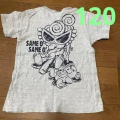ヒスミニ120ミニちゃん半T