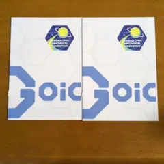 GOIC 六角形パターン クリアファイル 2枚セット