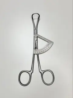 Item thumbnail for item 272c29d8-ec29-4c9f-8f4f-6433701d3e9e