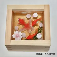金魚　枡入り　3D アクリル 0_9c289f85bdcd55603b4f220cb312