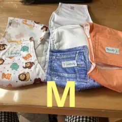 Item thumbnail for item 164ed94e-753e-4567-8493-72ff61cd5cb3