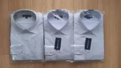 Item thumbnail for item c83d43ee-e3f7-46e0-993f-2bf4b4713b20