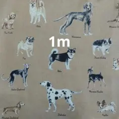 生地 1m 綿麻キャンバス dog