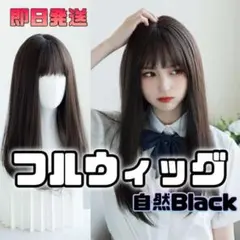 ウィッグ ロング コスプレ日本人 黒髪 ストレート 新品 かつら 韓国 女子高生