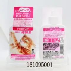 Item thumbnail for item fdbad671-b466-41fb-a432-f89be5334fa8