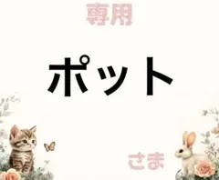 専用