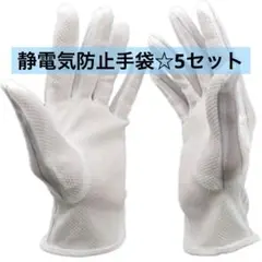 Item thumbnail for item 45b1d758-043c-4879-bd31-45e147aae6d8