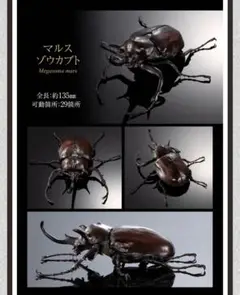 いきもの大図鑑アドバンス　マルスゾウカブト