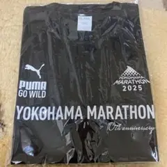 Item thumbnail for item 16e93b79-705d-4fb8-92db-a852723092af