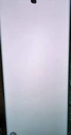 Samsung Galaxy S22 Ultra US版