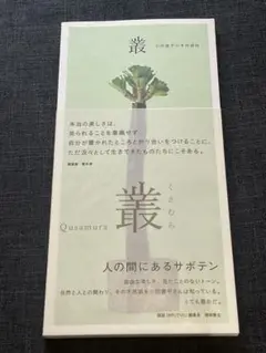 叢 小田康平の多肉植物　サボテン　写真集