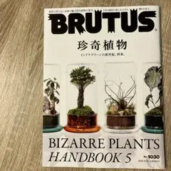 セール！ 洋書『ベネズエラの山岳植物、アンデスとテプイ、ブロメリア』植物図鑑 2025年最新】ブロメリア図鑑の人気アイテム - メルカリ