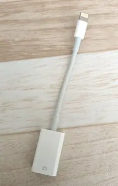 Apple Lightning to USB Adapter