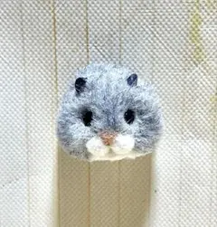 ハンドメイド ファーリークレイ マグネット ジャンガリアンハムスター