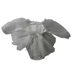 Item thumbnail for item bfe38801-6916-449a-8d0a-e7ac1f581a8c