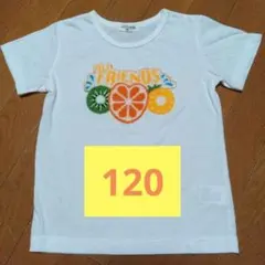 ALL FRIENDS フルーツ刺繍 Tシャツ