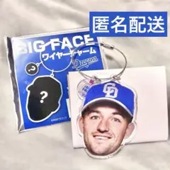 中日ドラゴンズ ボスラー BIG FACE ワイヤーチャーム シークレット