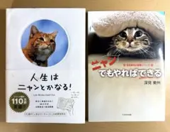 ①人生はニャンとかなる！ ②ニャンでもやればできる 2冊セット
