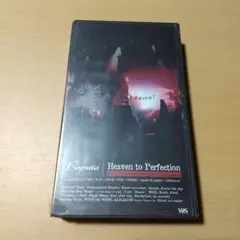 Laputa / Heaven to Perfection ビデオ　未使用