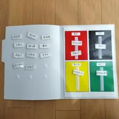 色概念課題 弁別 発達障害 療育 特別支援 手作り教材 視覚支援