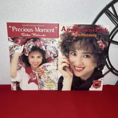 松田聖子　コンサート　パンフレット　1989-1990 2組セット