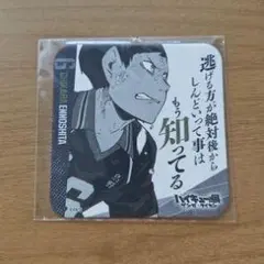 バディファイト エモシタ トレーディングカード