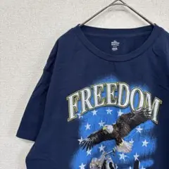 アメリカ古着　tシャツ プリント　イーグル　L 2420