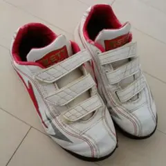 ゼット　トレシュー