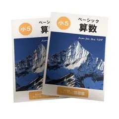 【値下げ可能】希学園 ベーシック算数 小5 問題編 解答編 第3分冊