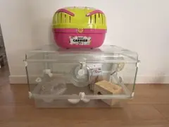 Item thumbnail for item 91863f4f-4e2c-4cf3-834e-9a4f3a8ee269