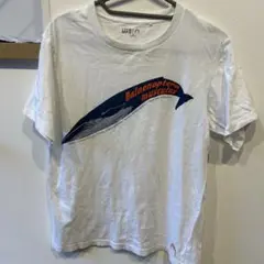 Item thumbnail for item 78216eb1-26e2-4e68-8171-797fcb9e6001