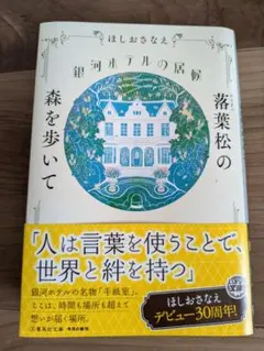 銀河ホテルの居候 落葉松の森を歩いて